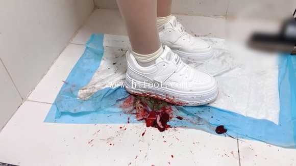 55jbjz5dqqc.jpg