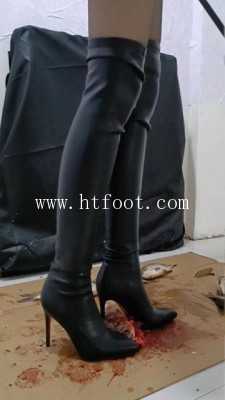 21a554gjsdd.jpg