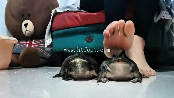 herh5wog1ht.jpg