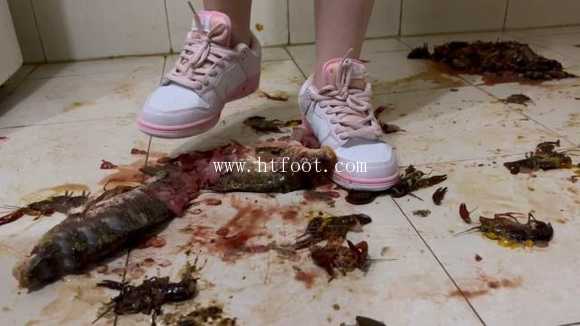 ezysshc24f5.jpg