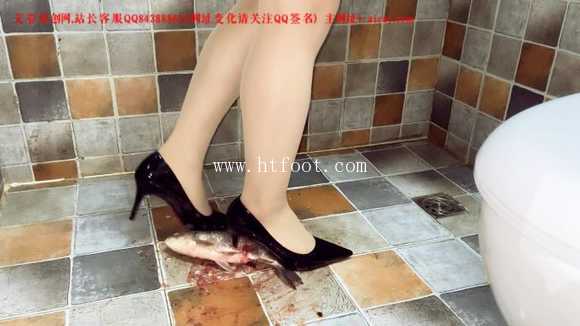 moqu5bpjt15.jpg