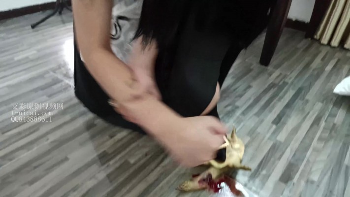 k5nhy05iejz.jpg