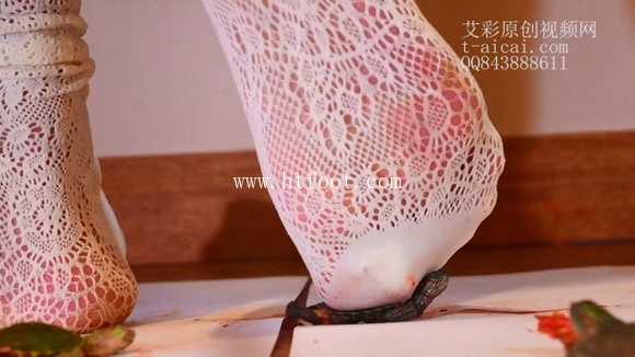 fvs3mv44say.jpg