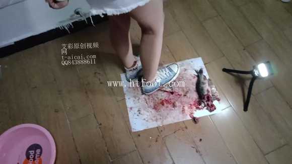 ttyjck0hoao.jpg