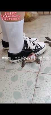 lp1221shbu0.jpg