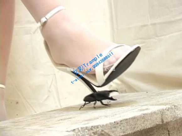 bog003na4pf.jpg