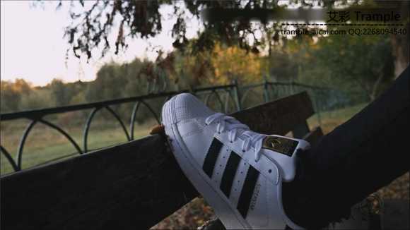 abr1ssw3vw1.jpg