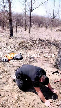5qh5wf4xqvy.jpg