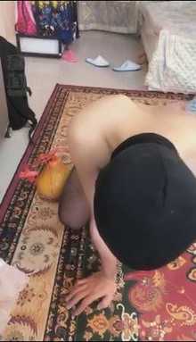 v2xpd5egp1d.jpg