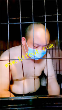 tfosysz14uo.jpg