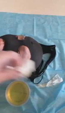pqcmofxujei.jpg