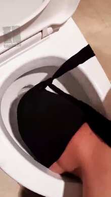 dtg3b22rljo.jpg