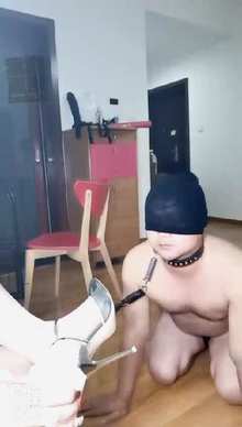 ilcuexusepv.jpg