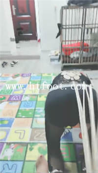 qq53mr3gslp.jpg