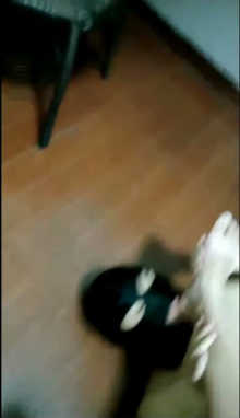 ymm0i22o5ch.jpg