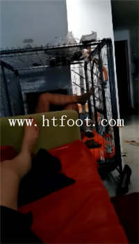 jrtk031r1j4.jpg