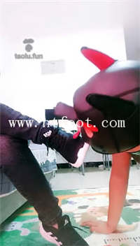 zspjoy4r301.jpg