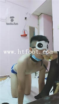 5wn3otox31y.jpg