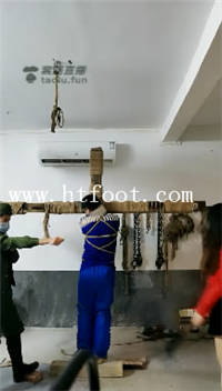 qv5btp4233g.jpg