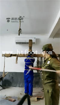 z35qnaihxuo.jpg