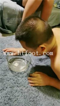 cd5e5cchpjv.jpg