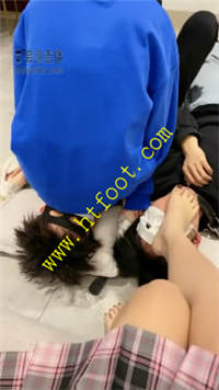 ahdbb3cd5s5.jpg
