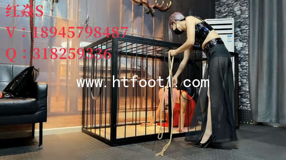 fvitnro04hi.jpg