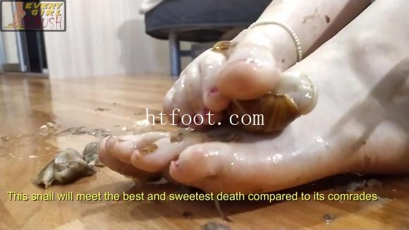 093252s2f7n2zn23v27tn7.jpg