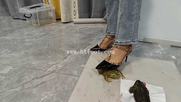 100143ytq2trz01vli6qej.jpg