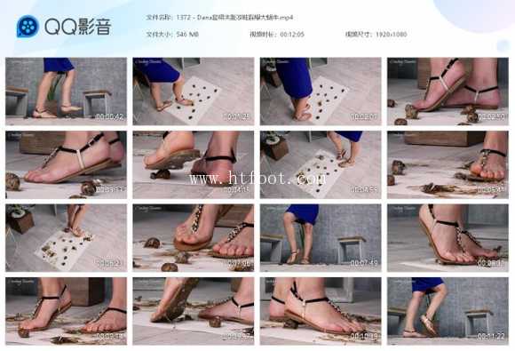 090705a3zz8nq3annx3nmt.jpg