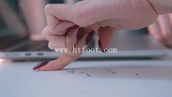 072030aofc1c1hpgyygoc5.jpg