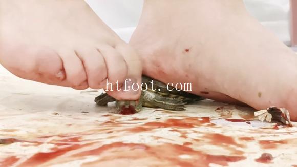 073152uesn7nslzpjcc71e.jpg