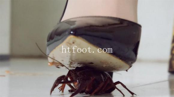073319fo18xrrdu14184tt.jpg