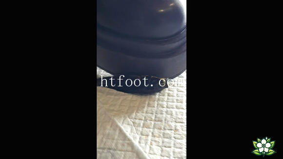 123214fyg101l07his672g.jpg