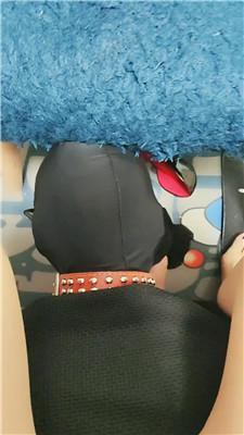 d0x3pdwsu5c.jpg