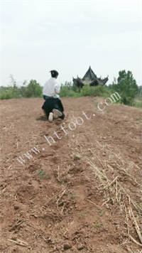 035206j1t1mpyyqtk10pvf.jpg