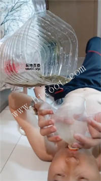 035246o0nx4djjjn047xdx.jpg