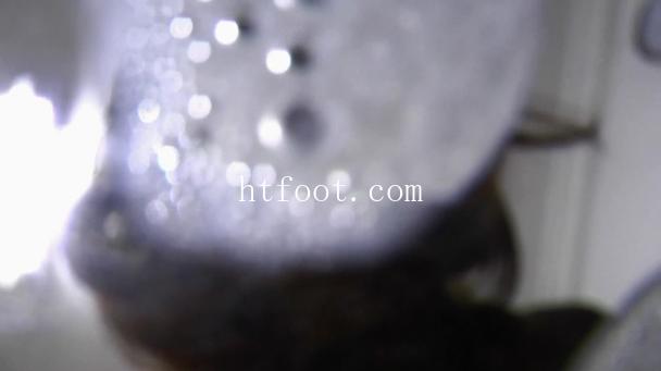123644qpwiz6p1so4spt43.jpg