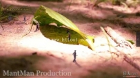 23208 Unaware Giantess Walk FX 女巨人系列