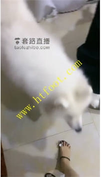 NNTL32287 雨琦】女同事是条G77分钟