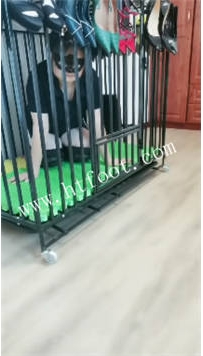 NNTL47625 凌儿】女奴爬楼梯32分钟
