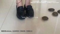 31633  来自微胖界安安的碾压——乌龟和龙虾