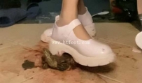 32122  大长腿董小姐换不同的鞋踩大鬼，龟壳很硬很大