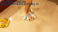 16976【UU喵女王】爆踩玩偶发泄，需要狗奴当脚垫