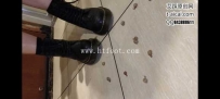 29302  纯儿马丁靴运动鞋踩蜗牛