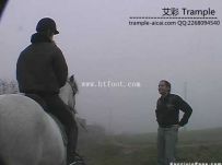 23337 The Rider
