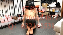 23523【红焱S】新春调狗 上