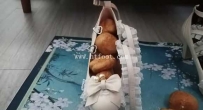 32998  公主鞋网袜踩泡芙