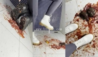 31224  萌棠主两双马丁靴爆踩大金鱼 龟龟