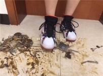 27040  念久高跟踩螃蟹